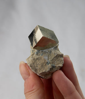 Pyrit Würfel in Matrix