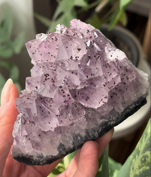 Amethyst Stufe AM2