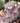 Amethyst Stufe AM2